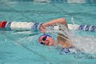 Swimming & Diving vs RWU  Swimming & Diving vs Roger Williams University. - Photo by Keith Nordstrom : Wheaton, Swimming